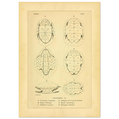 adb7cb8e-ccdc-4c12-aab6-6a952d8ae0b0