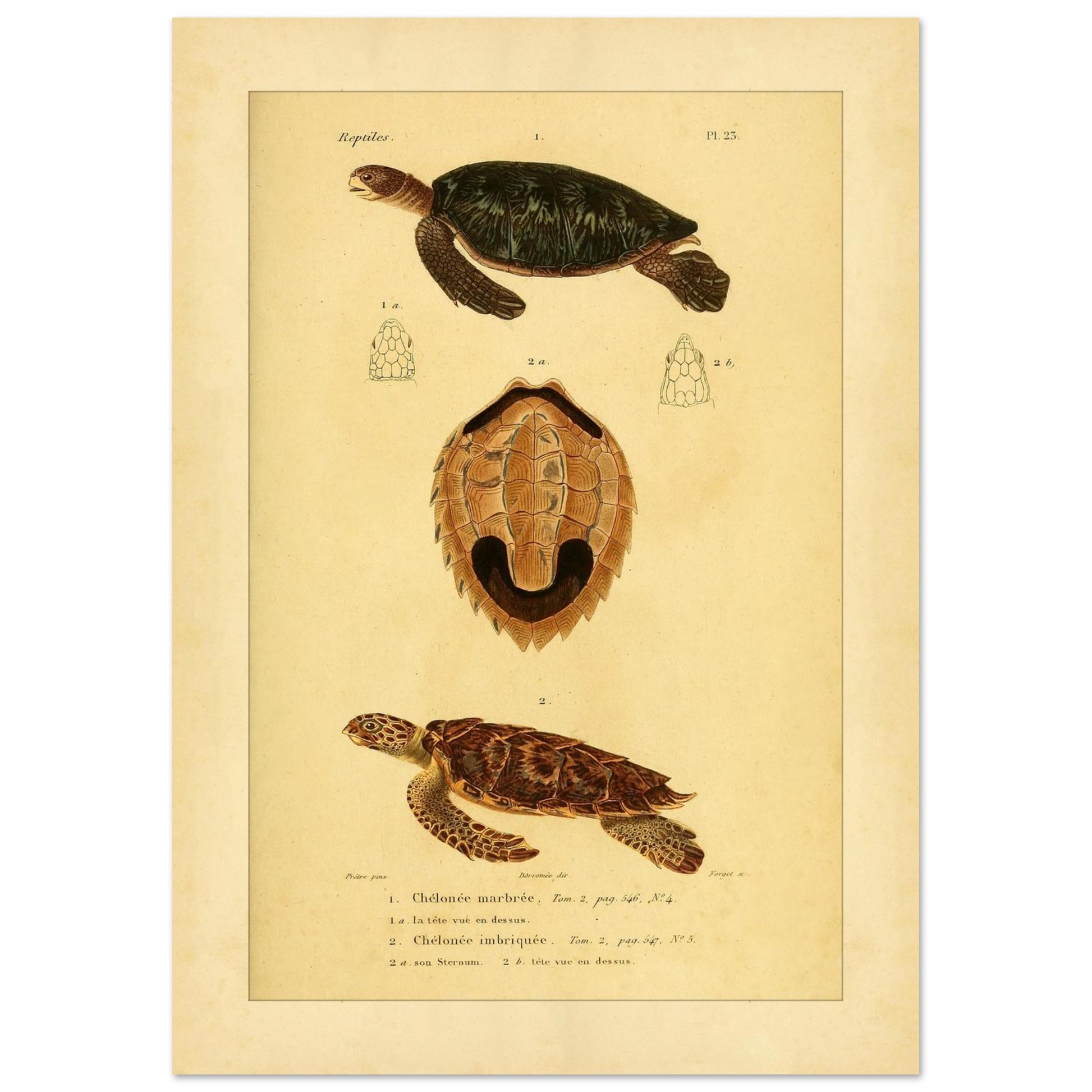 ae5f4f3a-dcbf-4061-900b-a6dffd31ec3b