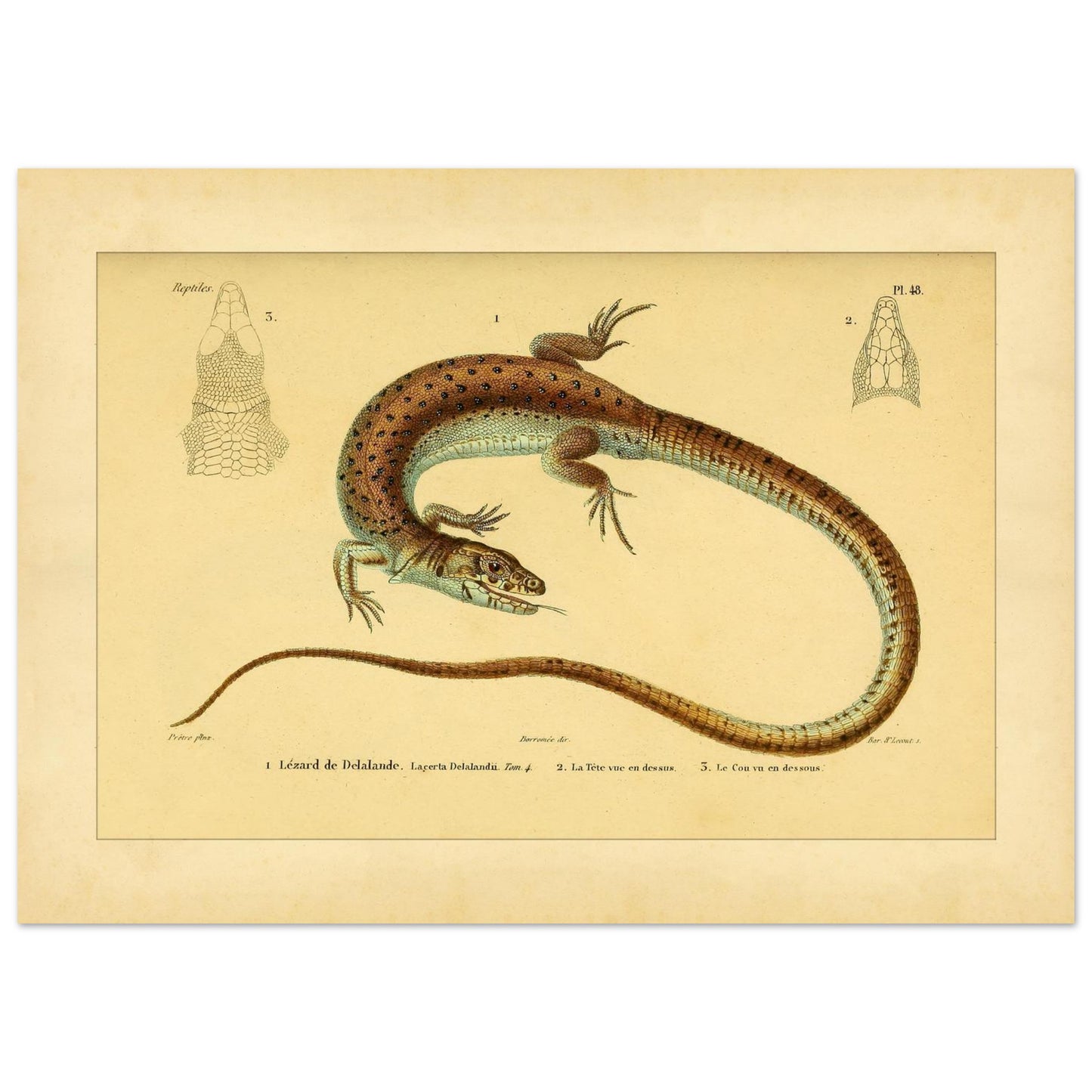 af45a3e6-ce07-43dd-ace2-efda6bcf3a9c