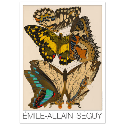 Affiche de motifs décoratifs de papillons par Émile-Allain Séguy (42x59,4 cm (A2)). Cette affiche Art Déco présente une composition de motifs de papillons déclinés en plusieurs panneaux décoratifs.