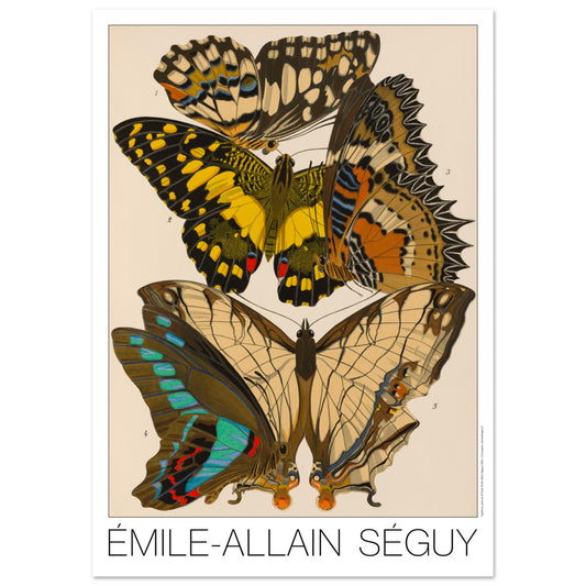 Affiche de motifs décoratifs de papillons par Émile-Allain Séguy (42x59,4 cm (A2)). Cette affiche Art Déco présente une composition de motifs de papillons déclinés en plusieurs panneaux décoratifs.