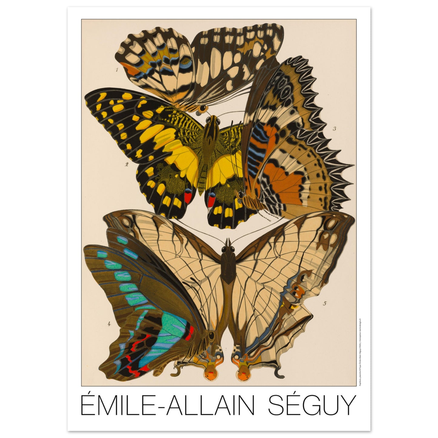 Affiche de motifs décoratifs de papillons par Émile-Allain Séguy (50x70 cm). Cette affiche Art Déco présente une composition de motifs de papillons déclinés en plusieurs panneaux décoratifs.