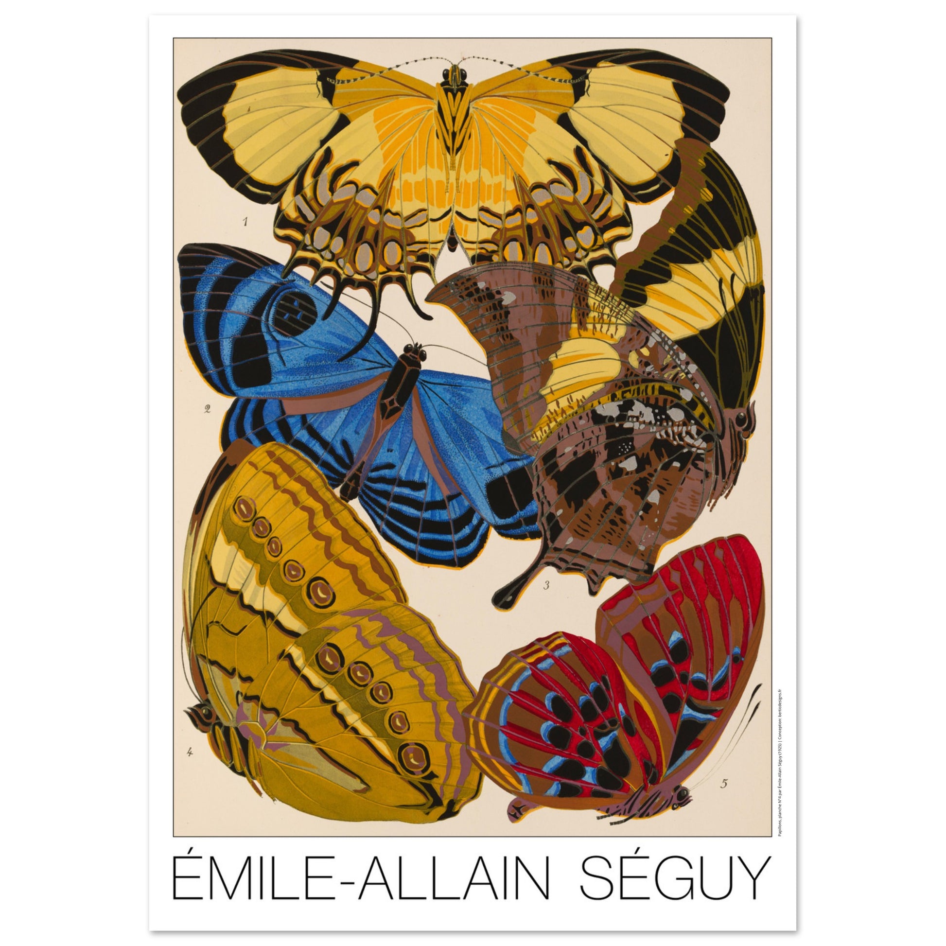 Affiche de papillons Art déco (Heliconis, Stichophthalma), E.A. Séguy (29,7x42 cm (A3)). Gravure naturaliste d'Émile-Allain Séguy représentant plusieurs papillons aux ailes aux motifs complexes et aux couleurs éclatantes.
