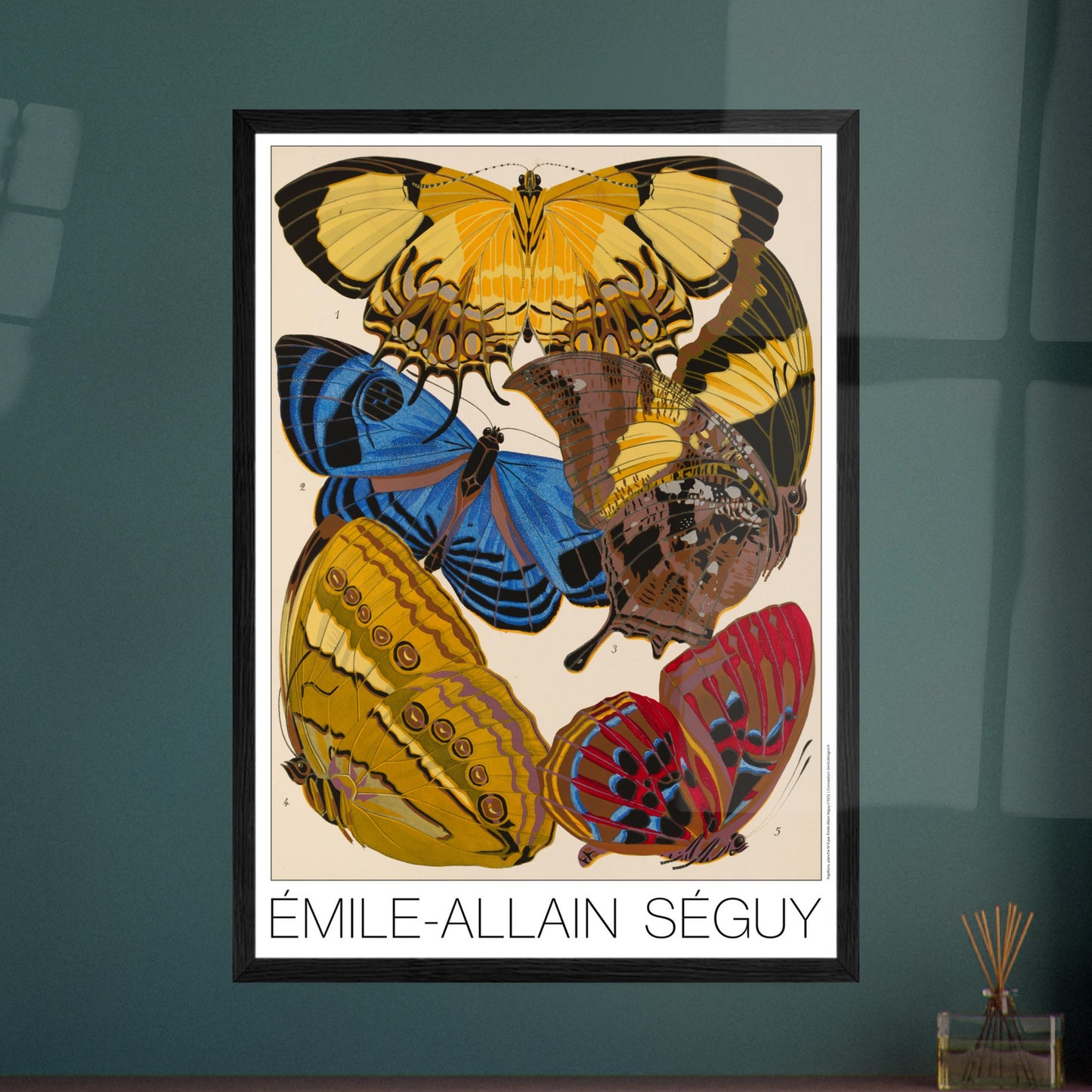 Affiche de papillons Art déco (Heliconis, Stichophthalma), E.A. Séguy. Gravure naturaliste d'Émile-Allain Séguy représentant plusieurs papillons aux ailes aux motifs complexes et aux couleurs éclatantes. Image d'illustration 7
