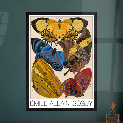 Affiche de papillons Art déco (Heliconis, Stichophthalma), E.A. Séguy. Gravure naturaliste d'Émile-Allain Séguy représentant plusieurs papillons aux ailes aux motifs complexes et aux couleurs éclatantes. Image d'illustration 7