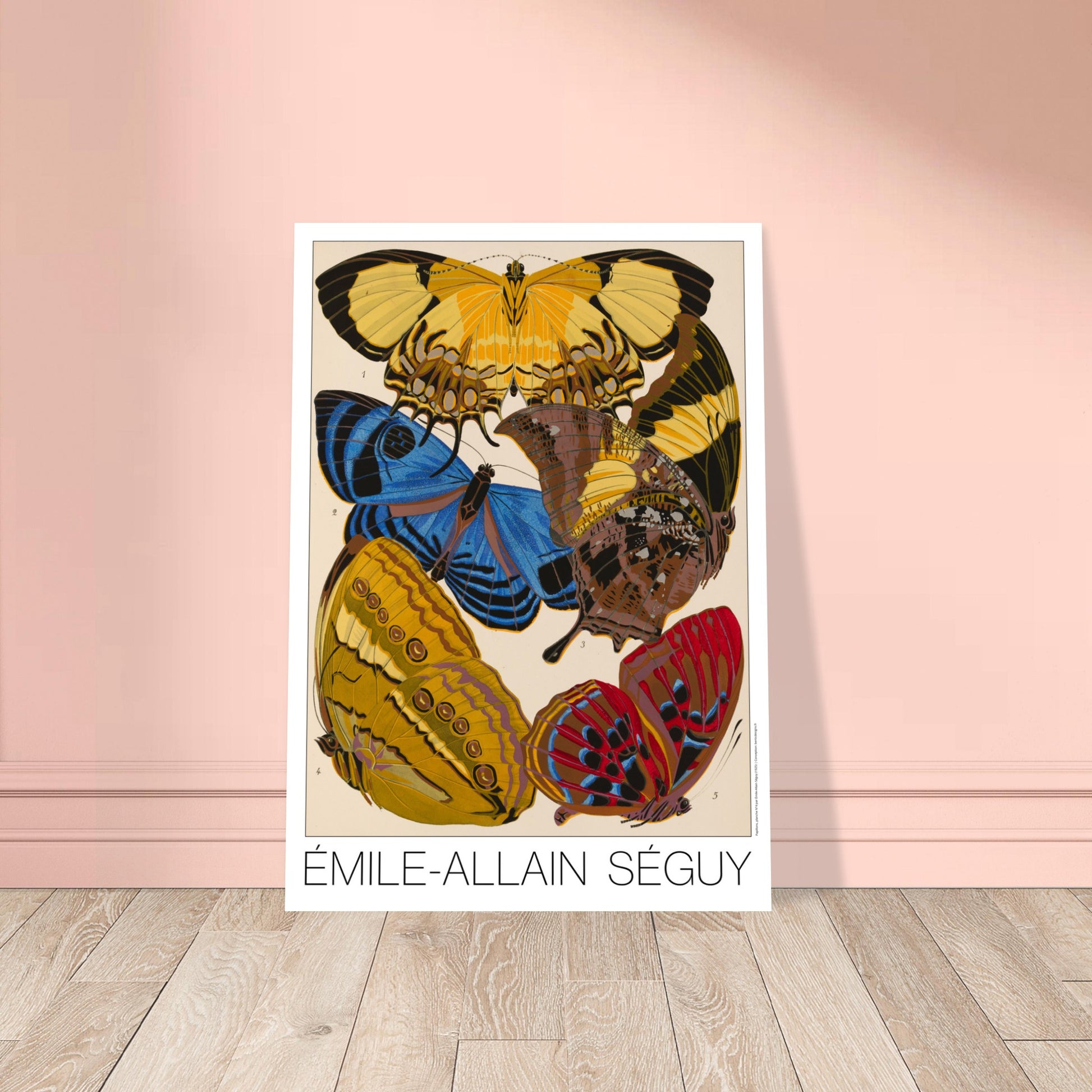 Affiche de papillons Art déco (Heliconis, Stichophthalma), E.A. Séguy. Gravure naturaliste d'Émile-Allain Séguy représentant plusieurs papillons aux ailes aux motifs complexes et aux couleurs éclatantes. Image d'illustration 8