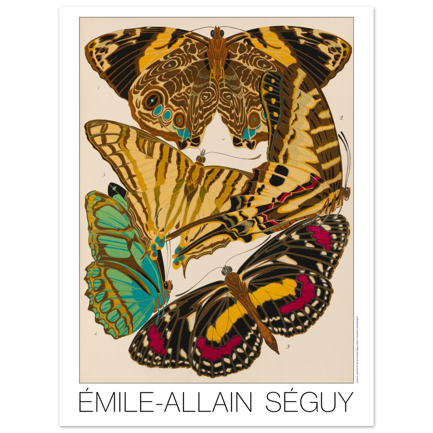 Affiche de papillons naturalistes (Smyrna, Papilio) par Émile-Allain Séguy (30x40 cm). Cette affiche Art Déco présente une composition de cinq papillons aux ailes aux motifs complexes et aux couleurs vives.