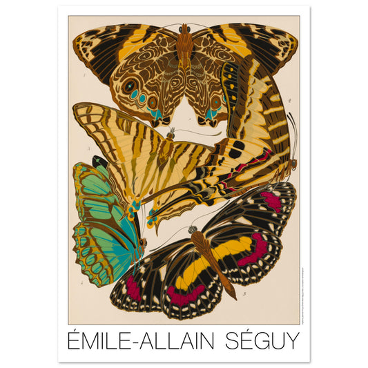Affiche de papillons naturalistes (Smyrna, Papilio) par Émile-Allain Séguy (42x59,4 cm (A2)). Cette affiche Art Déco présente une composition de cinq papillons aux ailes aux motifs complexes et aux couleurs vives.