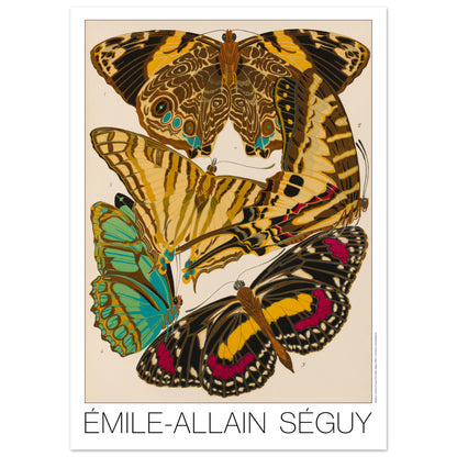 Affiche de papillons naturalistes (Smyrna, Papilio) par Émile-Allain Séguy (50x70 cm). Cette affiche Art Déco présente une composition de cinq papillons aux ailes aux motifs complexes et aux couleurs vives.