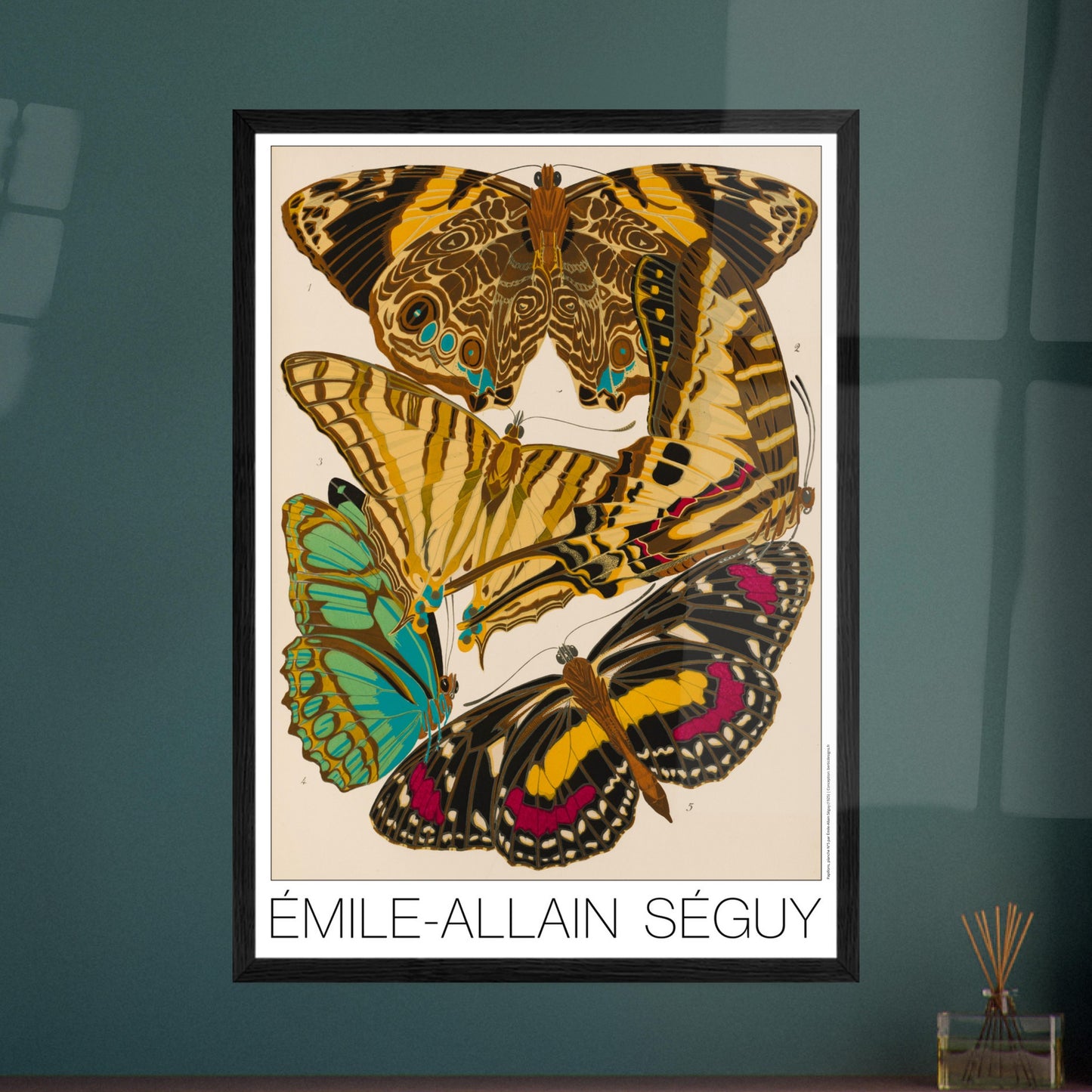 Affiche de papillons naturalistes (Smyrna, Papilio) par Émile-Allain Séguy. Cette affiche Art Déco présente une composition de cinq papillons aux ailes aux motifs complexes et aux couleurs vives. Image d'illustration 7