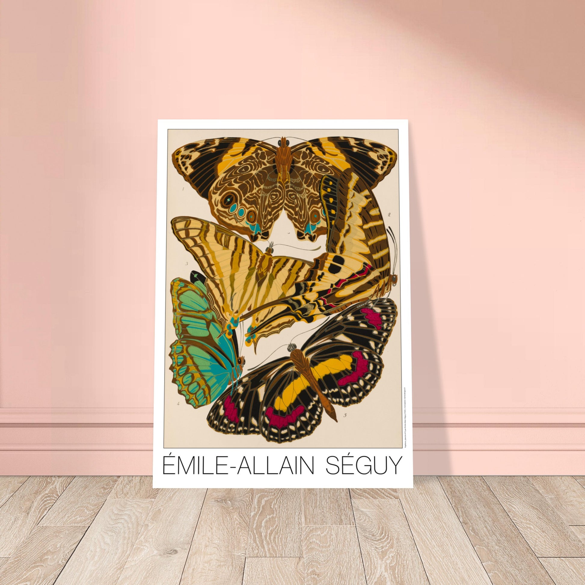 Affiche de papillons naturalistes (Smyrna, Papilio) par Émile-Allain Séguy. Cette affiche Art Déco présente une composition de cinq papillons aux ailes aux motifs complexes et aux couleurs vives. Image d'illustration 8