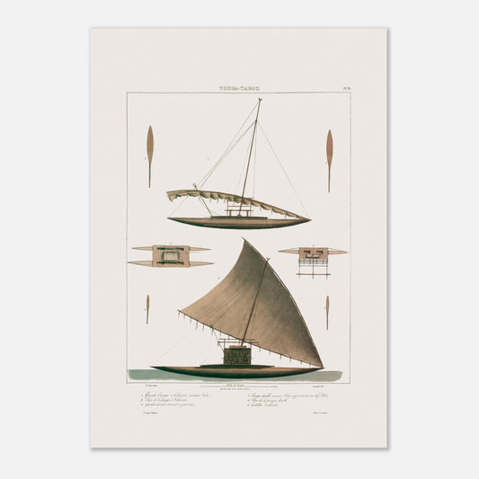 Planche de pirogues Calié et Vaca de Tonga Tabou, expédition Astrolabe (42x59,4 cm (A2)). Gravure représentant une pirogue double traditionnelle de Tonga Tabou, avec son système de balancier et ses gouvernails.
