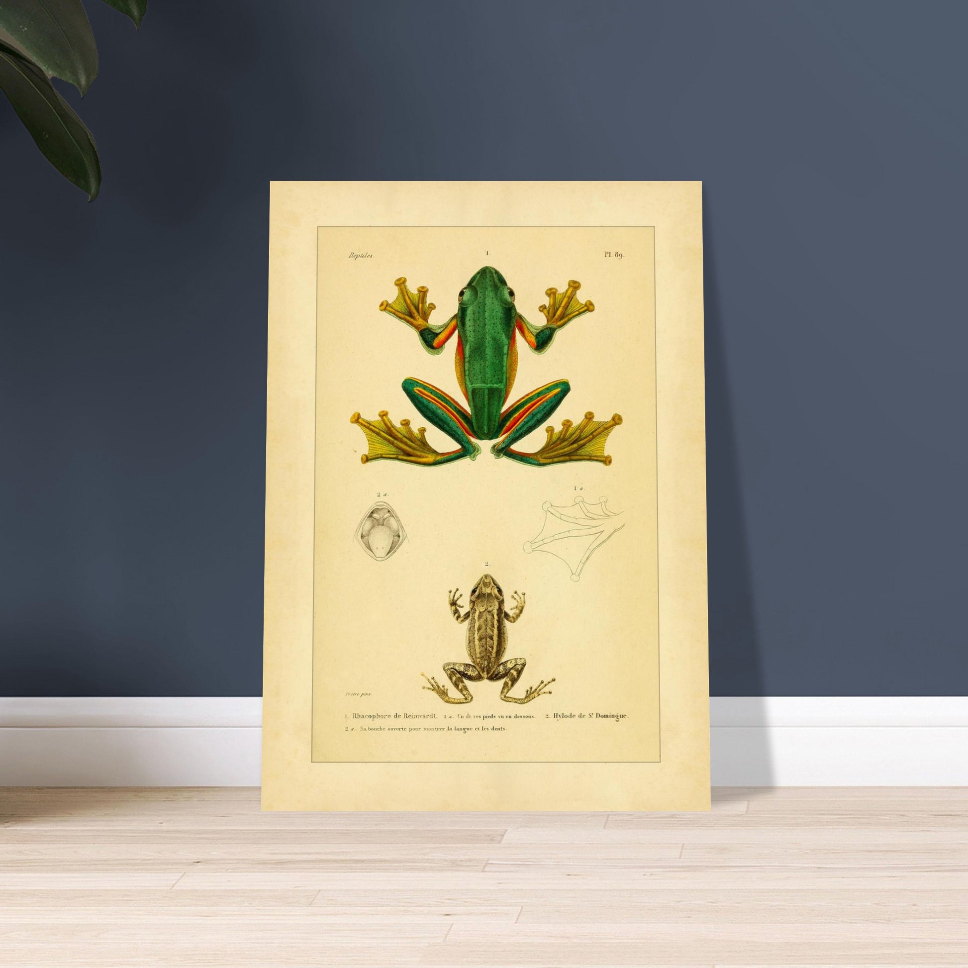 b0a2ca5e-a0fe-4c1c-a484-5fb935acb511