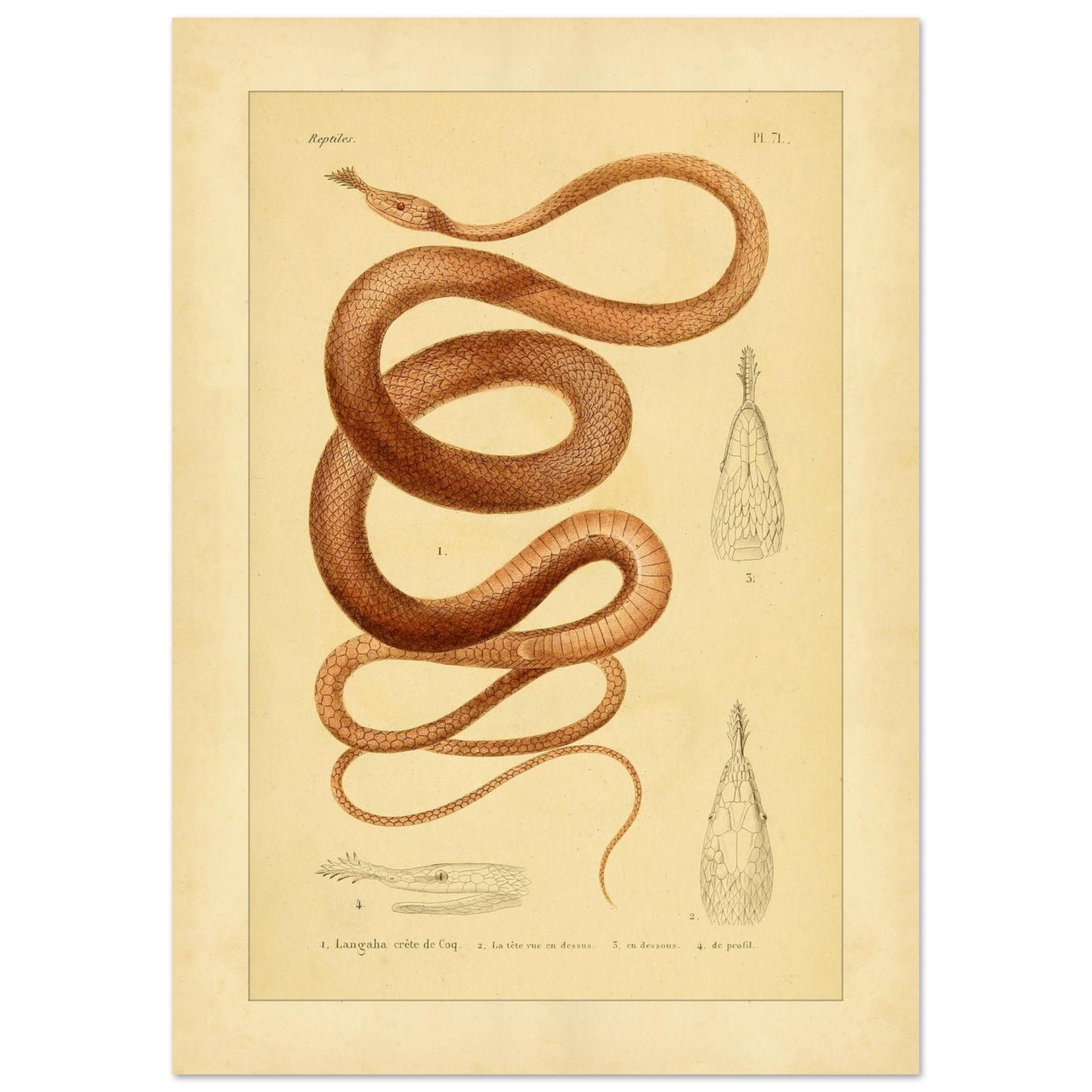 b1e616e5-f571-49a1-b732-d4f87a357c06