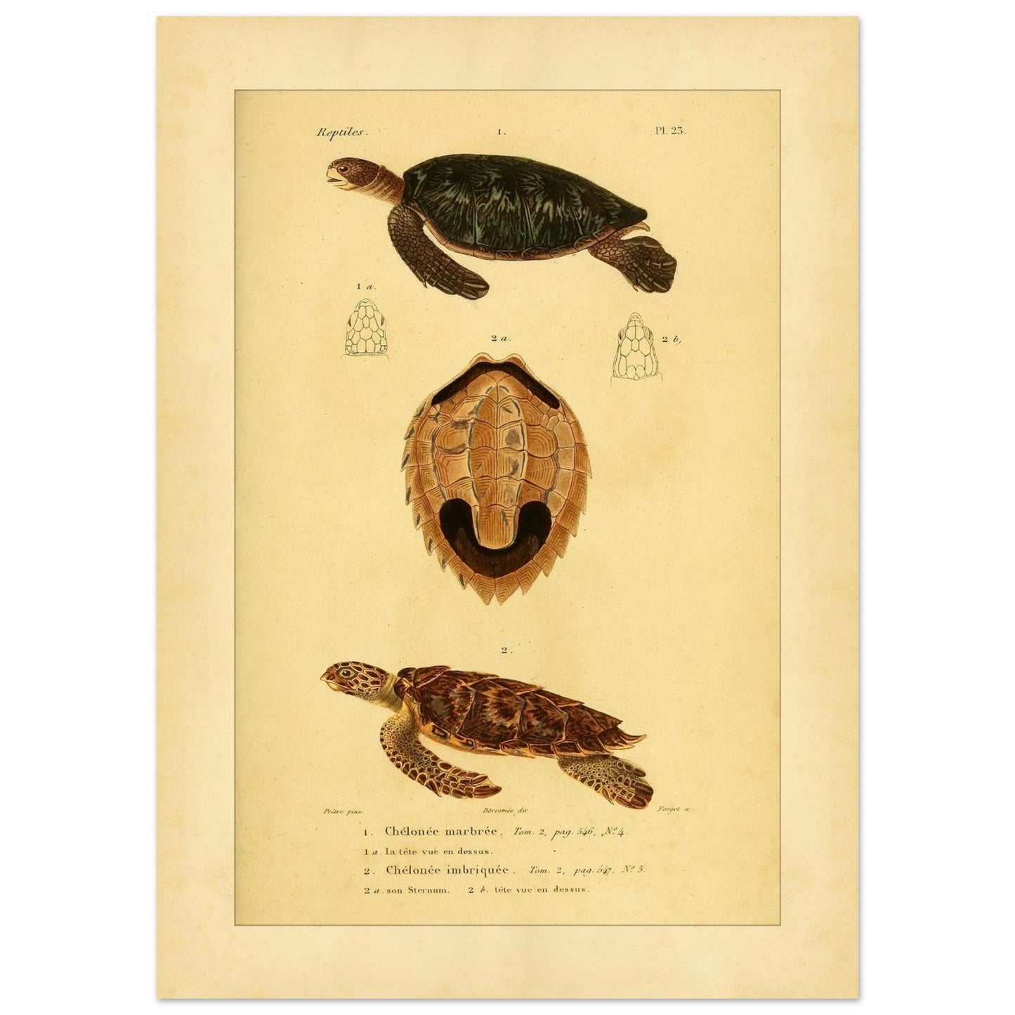 b2203f10-7031-495c-8ea4-f26a88a3df0c