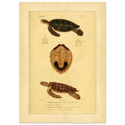 b2203f10-7031-495c-8ea4-f26a88a3df0c