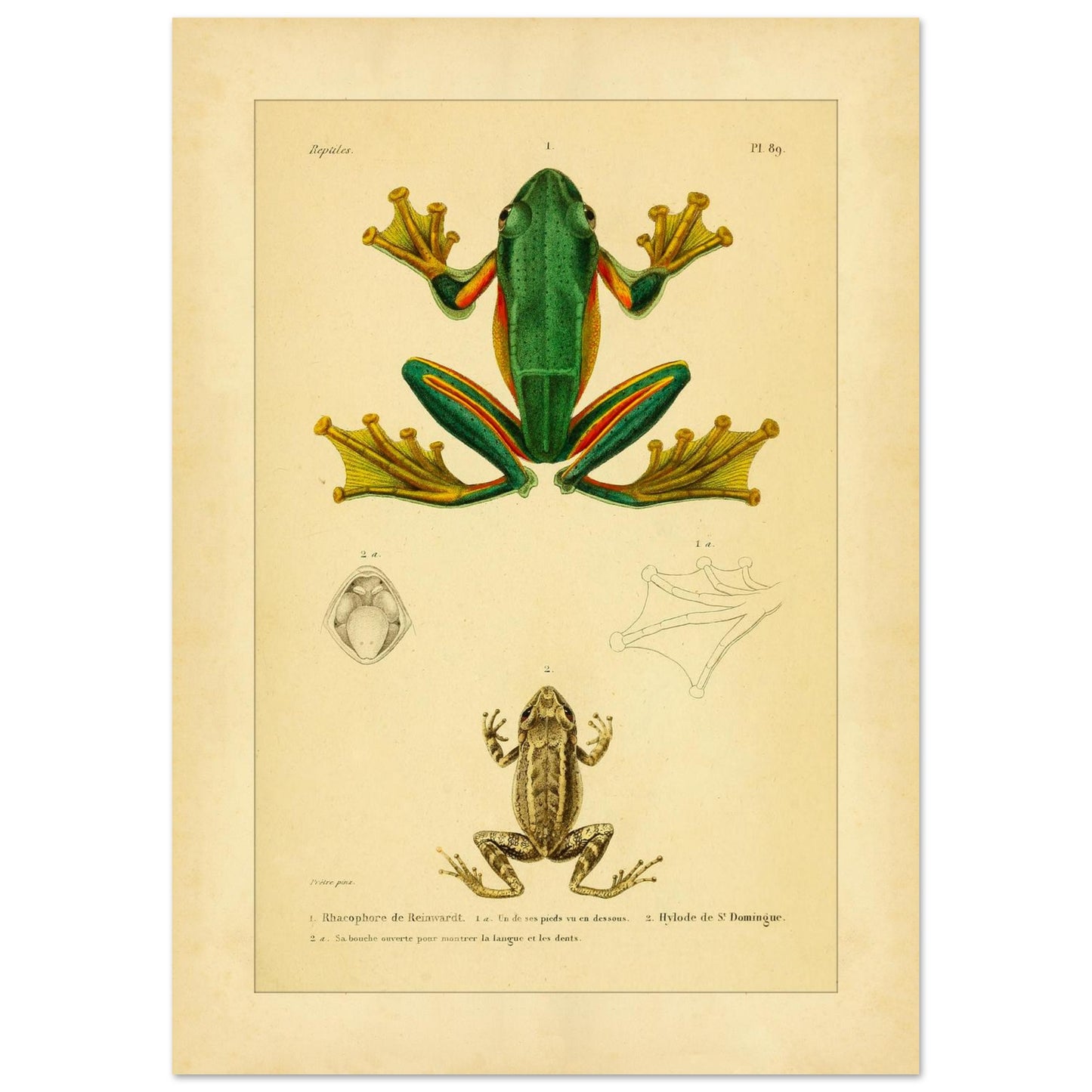 b286ce27-c3e9-445d-9521-e66616ebadd5