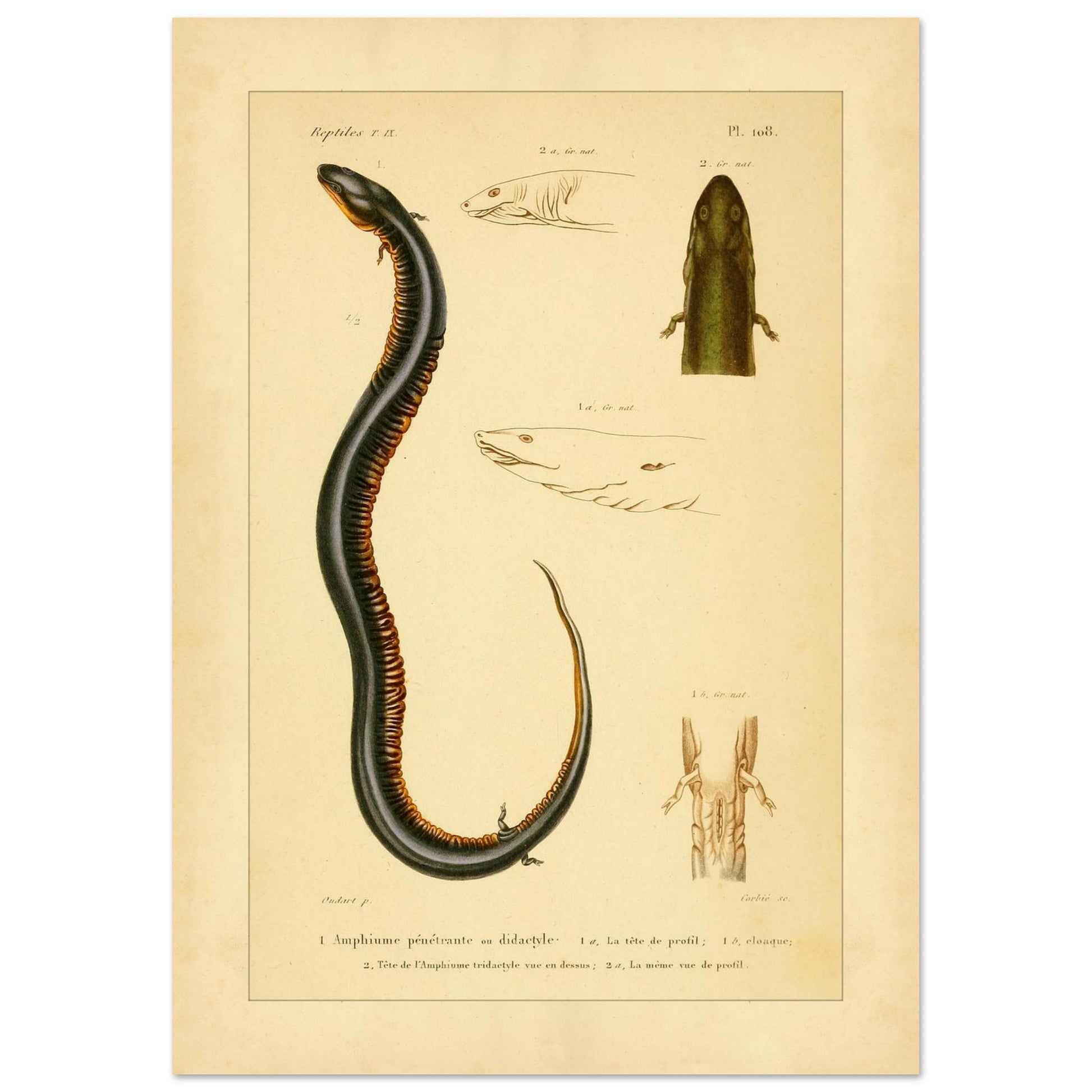 b327460c-f0d1-4975-bba5-e13b11813c6b