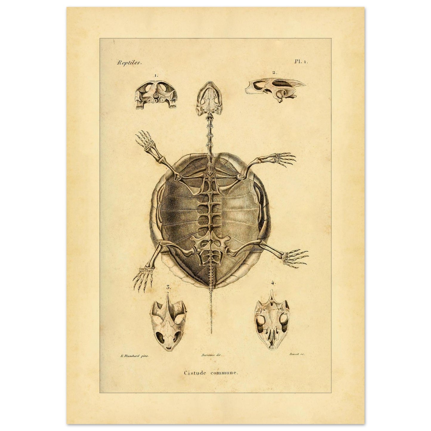 b34055eb-ca3b-4580-837b-588039318865