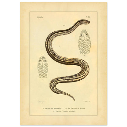 b3da91ae-aecd-46d9-80f4-cf6065acb78c