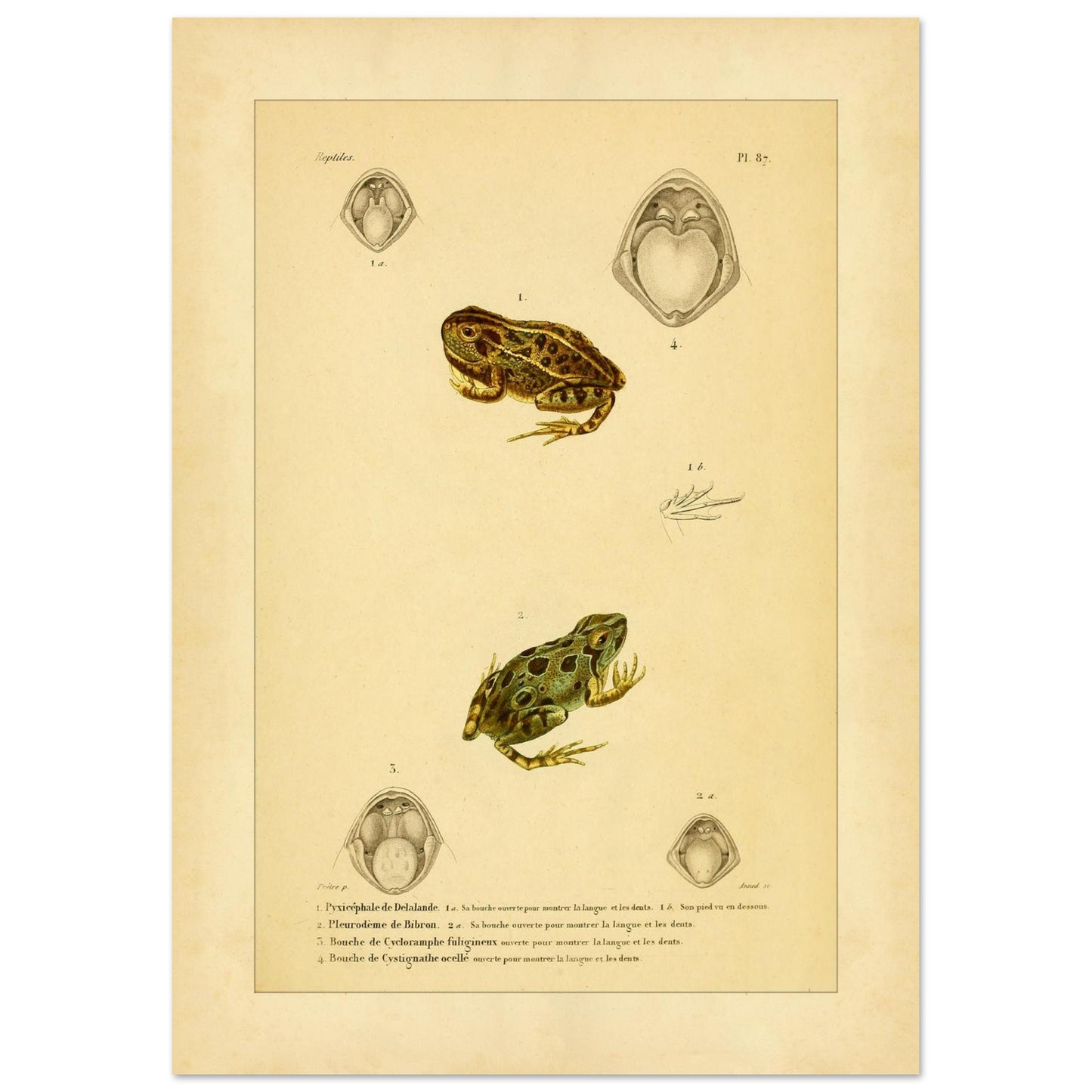 b3dcb2ed-7743-44c4-b318-70e03fa4bf07