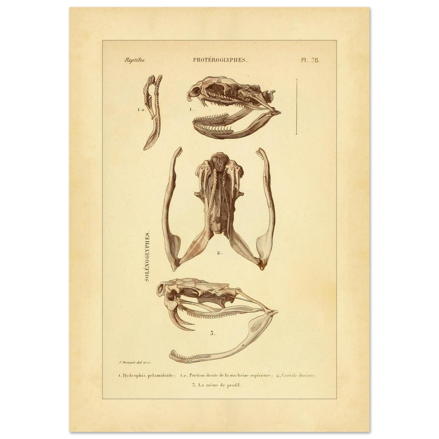 baa53039-9922-4861-91e8-5203c55389a6