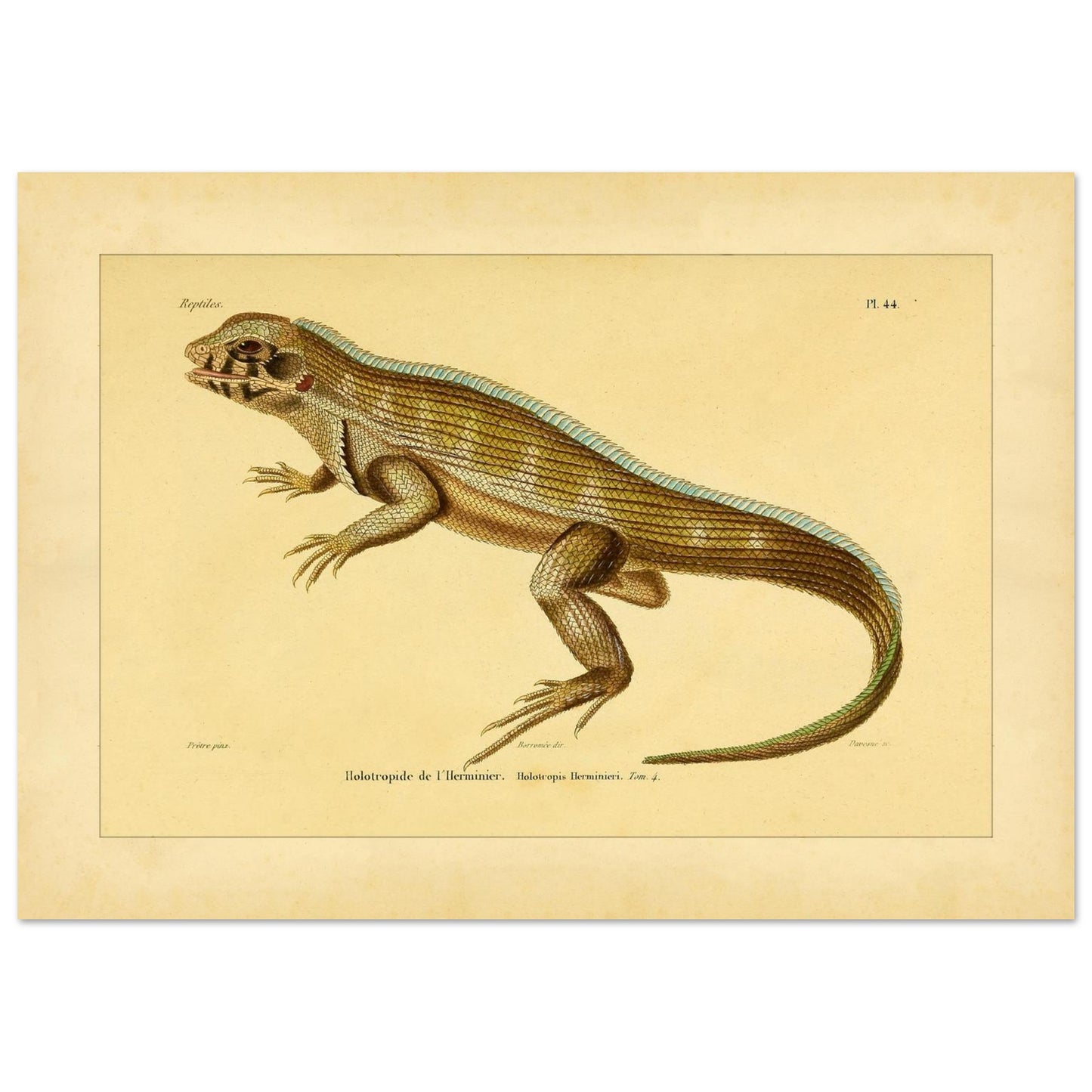 bac87e05-d683-43c2-896c-f4df6395282c