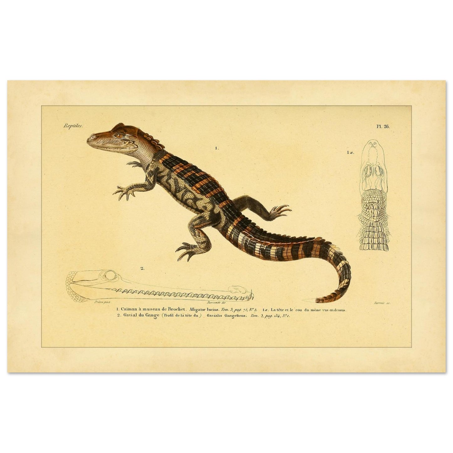 bc184053-84c8-4e61-b635-43892a3bf5f3