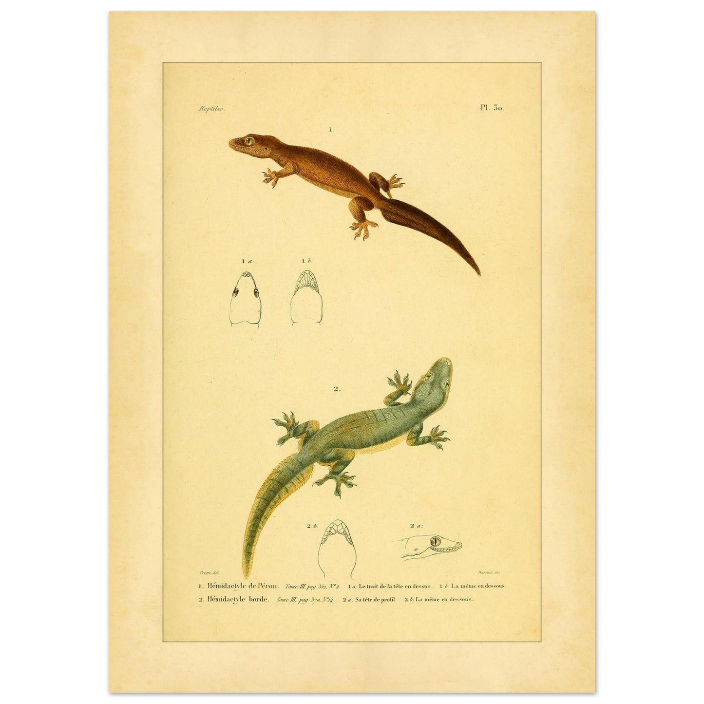 bd744cdd-1d16-4f17-a5af-84a561e8c79f