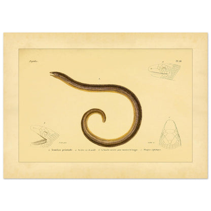 be745fa1-c28e-4575-94a1-d004317b32d1