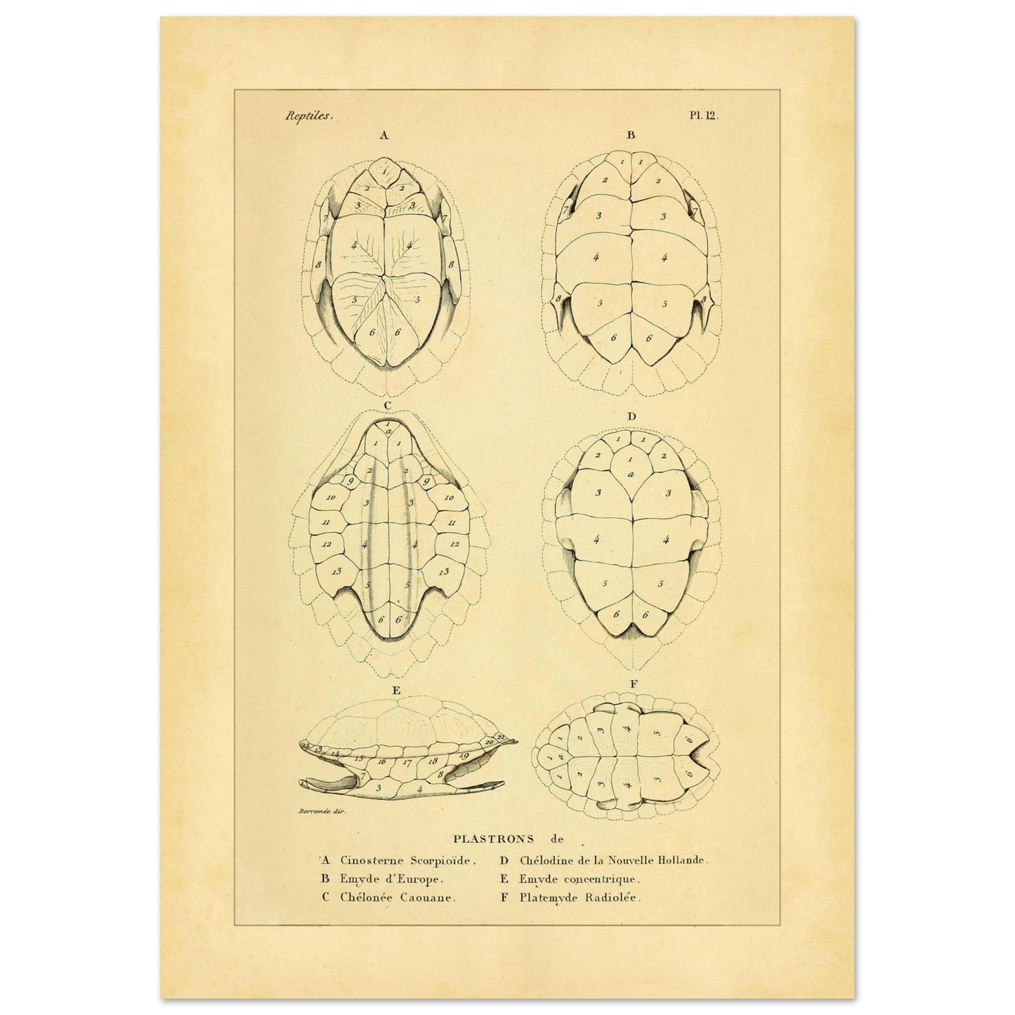 c2908def-7103-4b31-996e-aa279470cac4