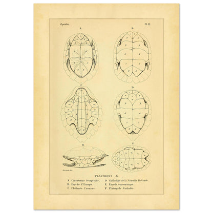 c2908def-7103-4b31-996e-aa279470cac4