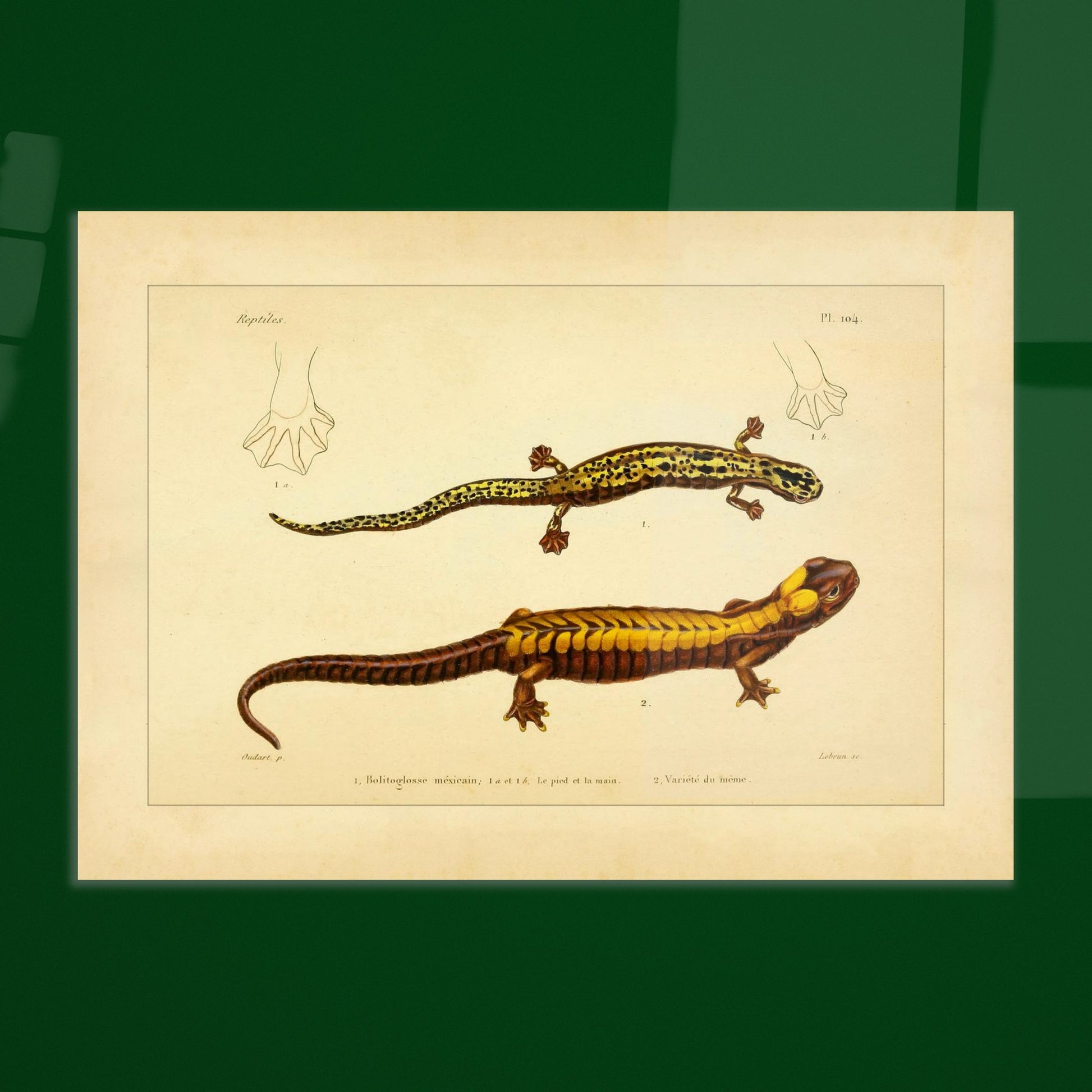 c4000979-8b1f-452e-bac9-2270a1dd869e