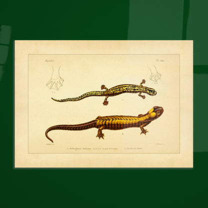 c4000979-8b1f-452e-bac9-2270a1dd869e