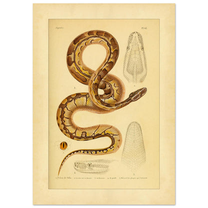 c417610d-ce57-4c77-a3ff-8587d2539665