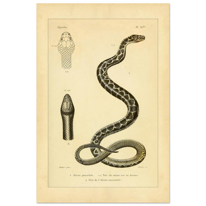 c6dac857-de33-49ed-b2fa-bbf225148da7