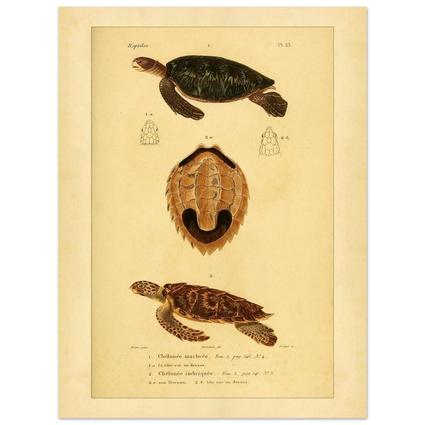 c71bf59f-e089-4edd-b22c-41fd671c89fb