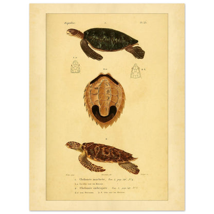 c71bf59f-e089-4edd-b22c-41fd671c89fb