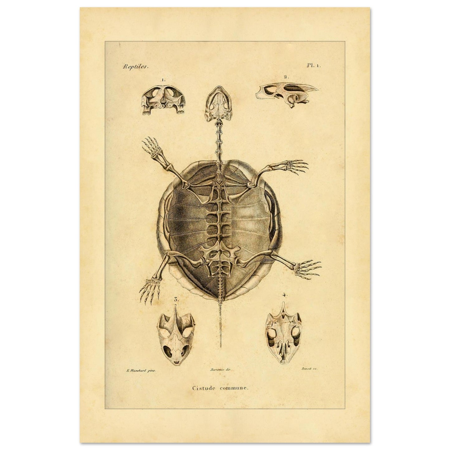 c91c8bf4-ae53-48d1-9945-30f32f148860