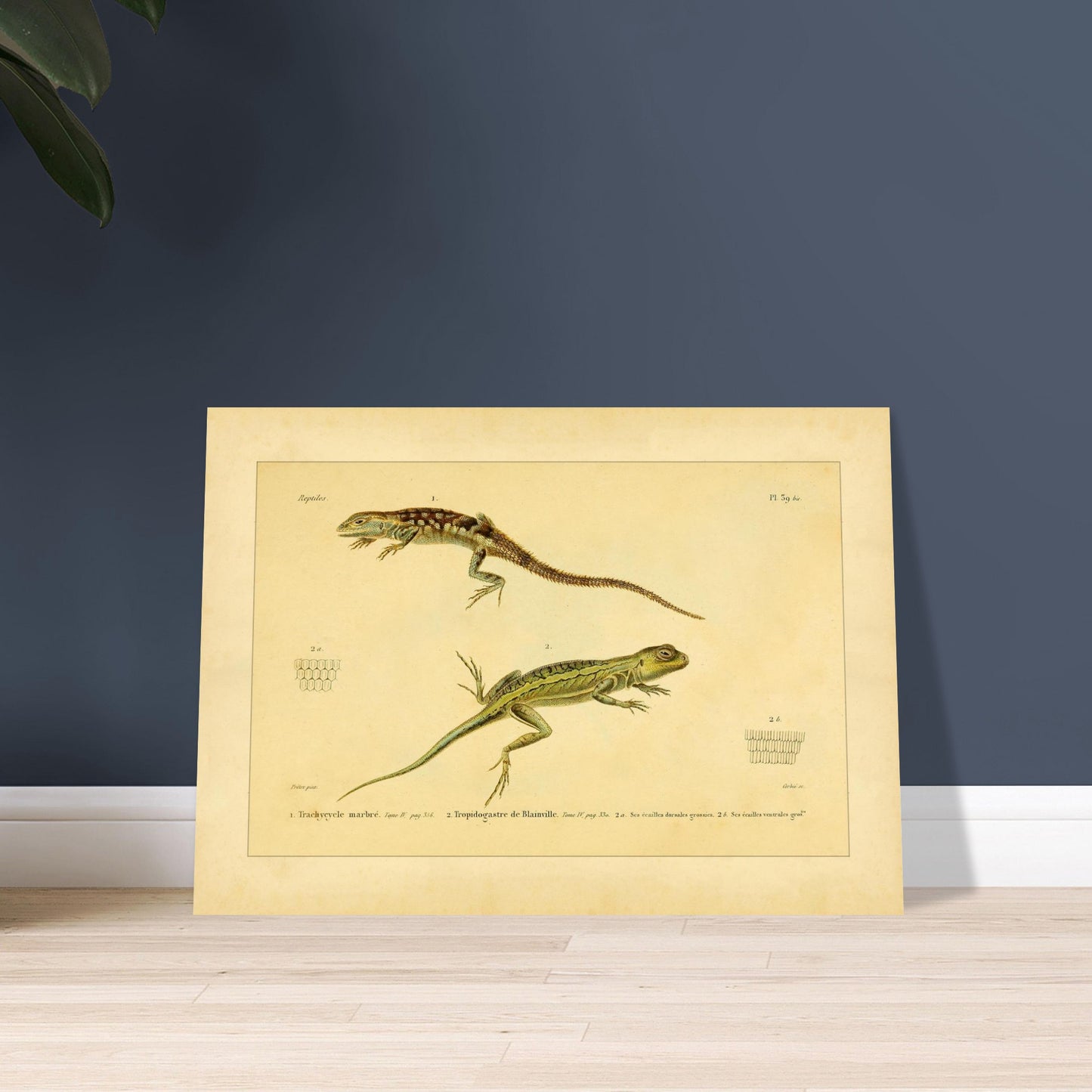 cb78c8cc-d433-4aa2-87cd-0a113e53ac73