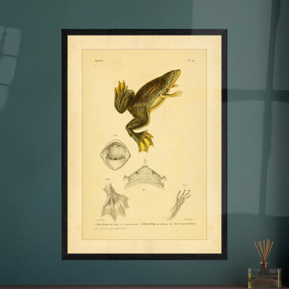 cb7eb4f9-a05f-4e8f-b66b-42df8ed79e65