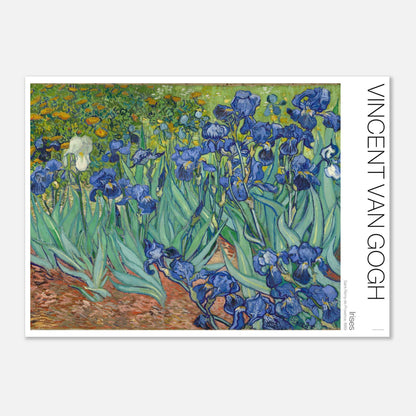 cca53375-38f8-4ed5-b540-787267ddf367