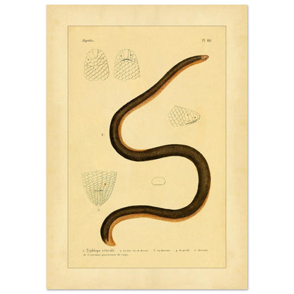 ccfb0602-ed07-4d77-bcca-cf2473d1ceec