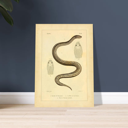 cf73b903-aa64-49ae-9093-7f20136c4fe5