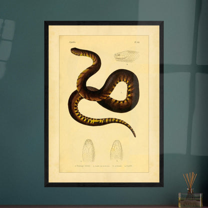 d0ad7a0a-e655-4c90-ab78-1131808fad23