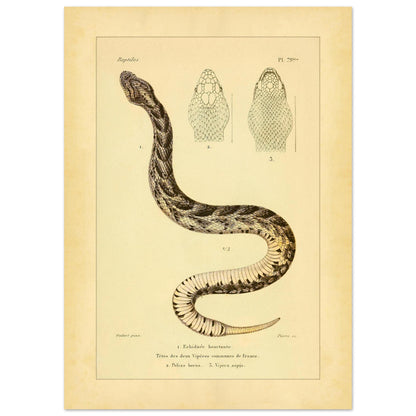 d186ec03-3170-4f6e-b3c0-7e581bbc209c