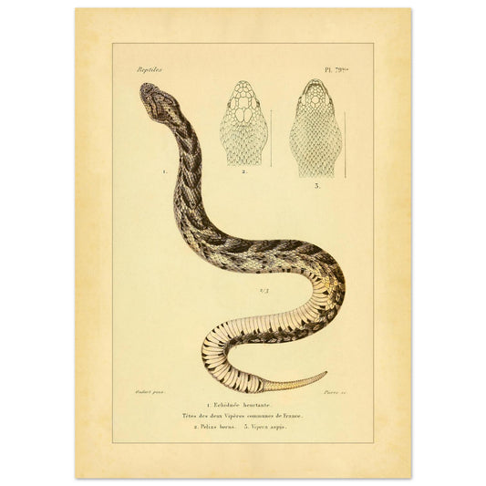 d186ec03-3170-4f6e-b3c0-7e581bbc209c