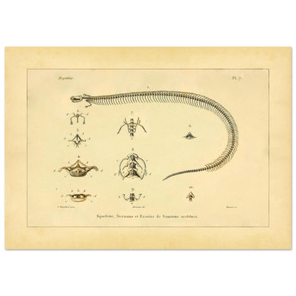 d1a6f467-6505-4c81-9e4e-ad436843e9d4