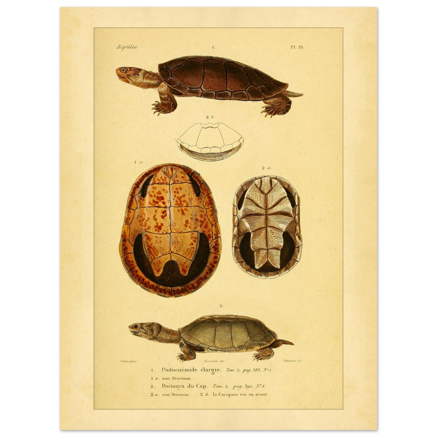 d1da8330-a868-4c5c-8a89-d277c3f278b5