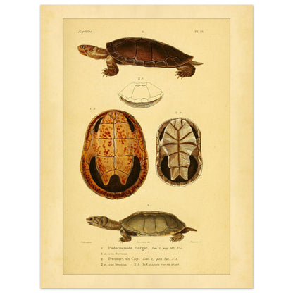 d1da8330-a868-4c5c-8a89-d277c3f278b5